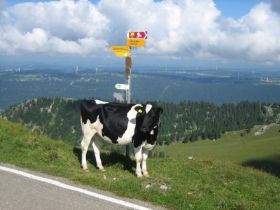 Chasseral im Berner Jura